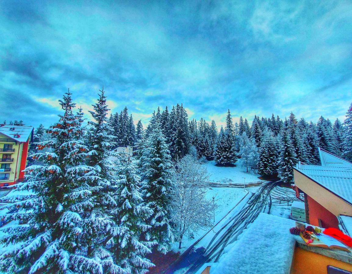 Vila Simonte Poiana Brasov Hotel Ngoại thất bức ảnh