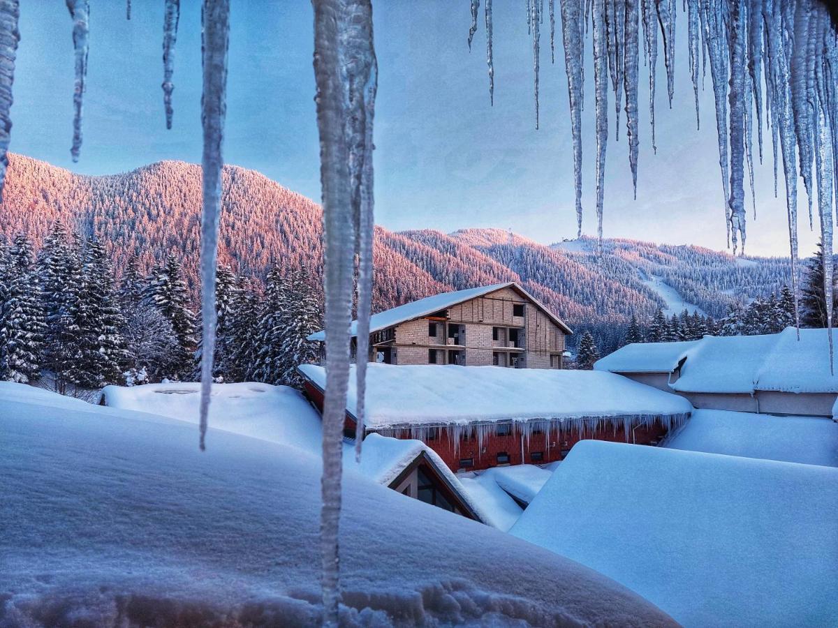 Vila Simonte Poiana Brasov Hotel Ngoại thất bức ảnh
